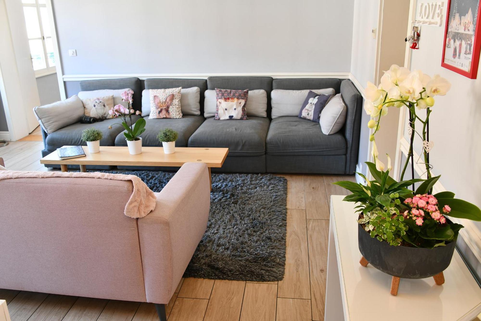 Appartement The Fairytale - Petite Venise كولمار المظهر الخارجي الصورة